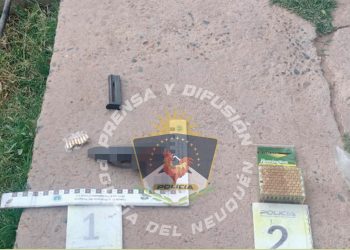 Encontraron una pistola y 42 plantas de marihuana en allanamientos de Cutral Co