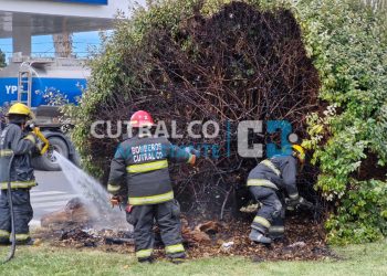 Ardió una planta frente a la Ruta 22 en Cutral Co