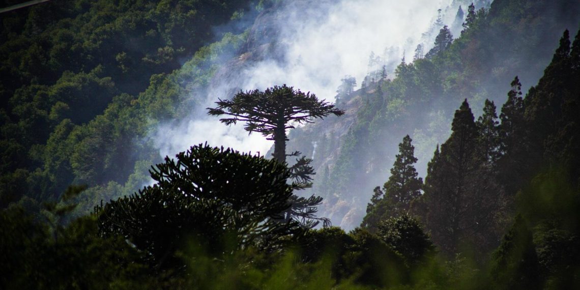Son más de 700 las personas las que combaten el fuego en Parque Lanín