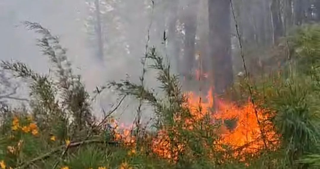 Incendio en el Parque Nacional Lanín: Piden no acercarse ni enviar donaciones