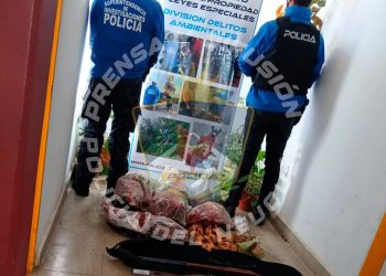 Detienen a un hombre de Cutral Co por cazar choiques